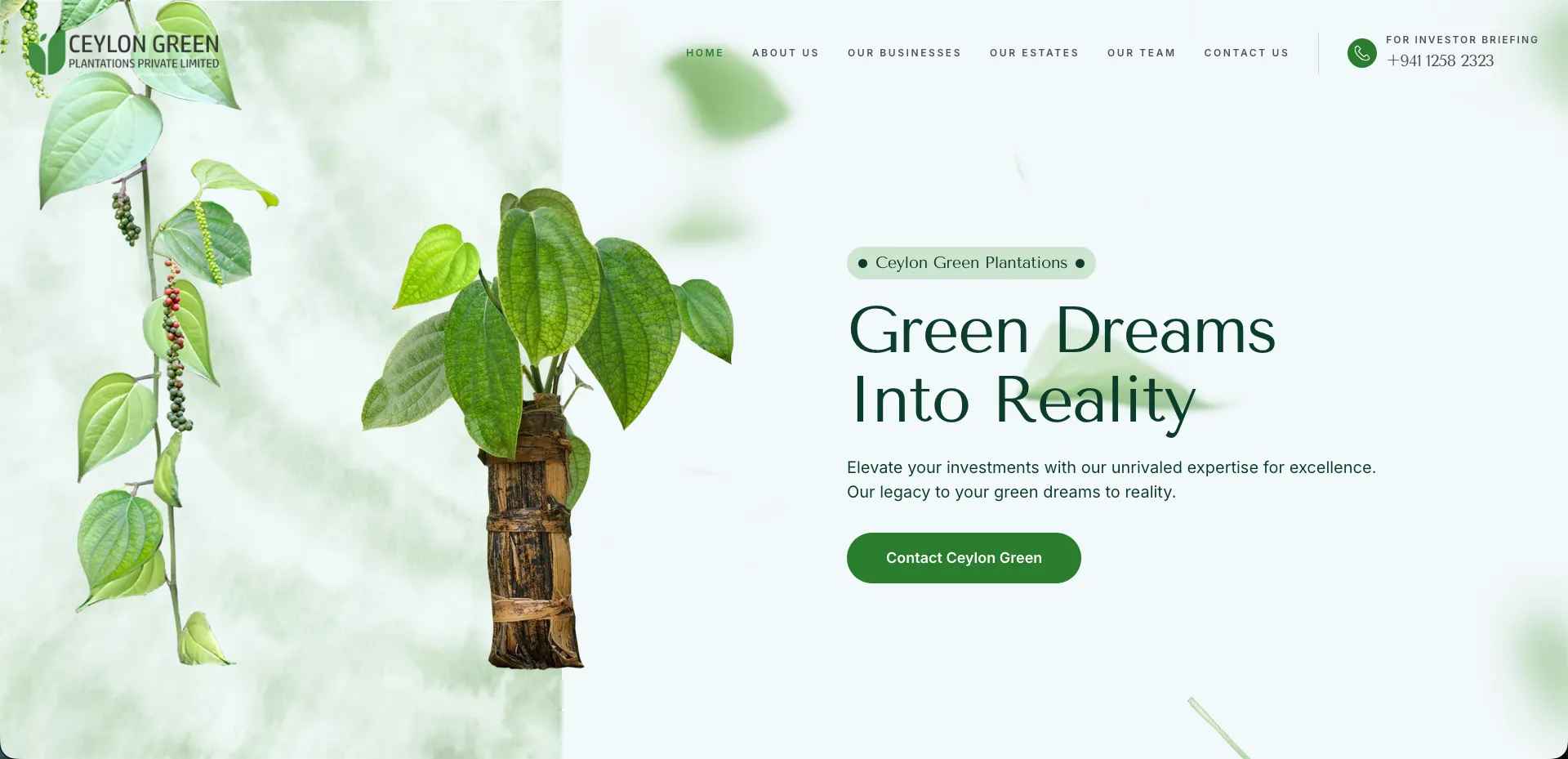 Ceylon Green — project by WolfCodeLabs